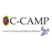 Hgpaytl8sky8hhyt3jk6 ccamp