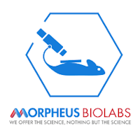Yaa7bw4asscx11gtvmnv morpheus