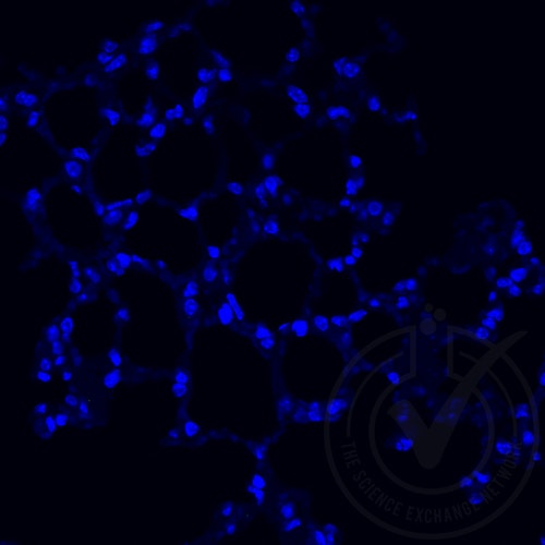 1402605891119 cfe2403388d63677f6b39aa08c9756a3.tif?fit=fill&mark=%2freproducibility%2ftsen logo